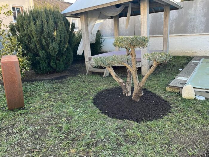 Remise en forme d’un Jardin de Ville, à Limoges